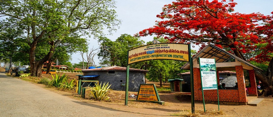 mudumalai dussehra 