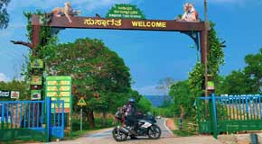 mudumalai safari gate two