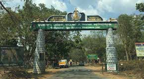 mudumalai safari gate three