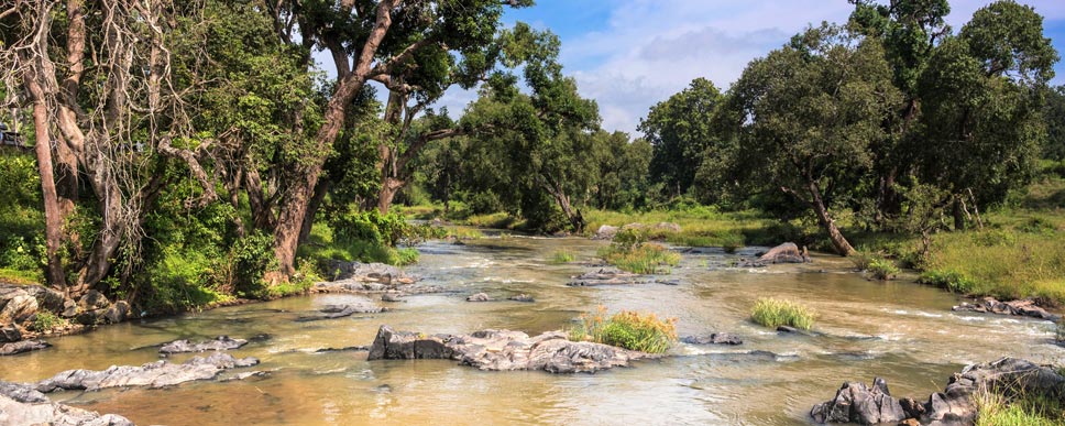 mudumalai tourist places