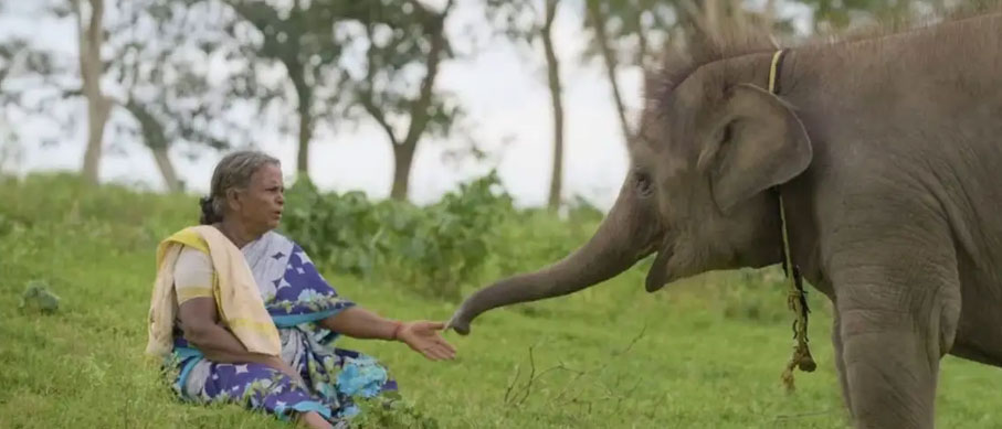 mudumalai ducumentary shot