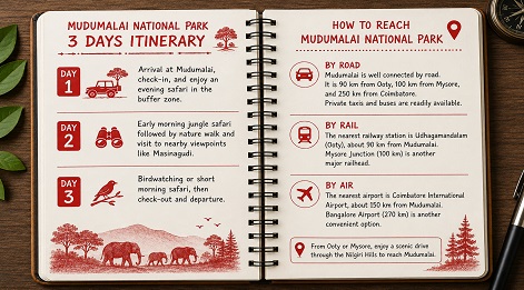 mudumalai tour