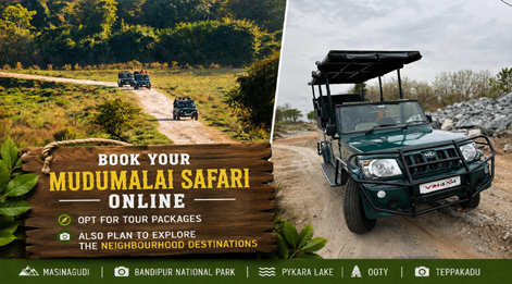 tour in mudumalai