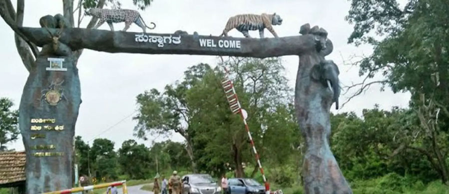 mudumalai route