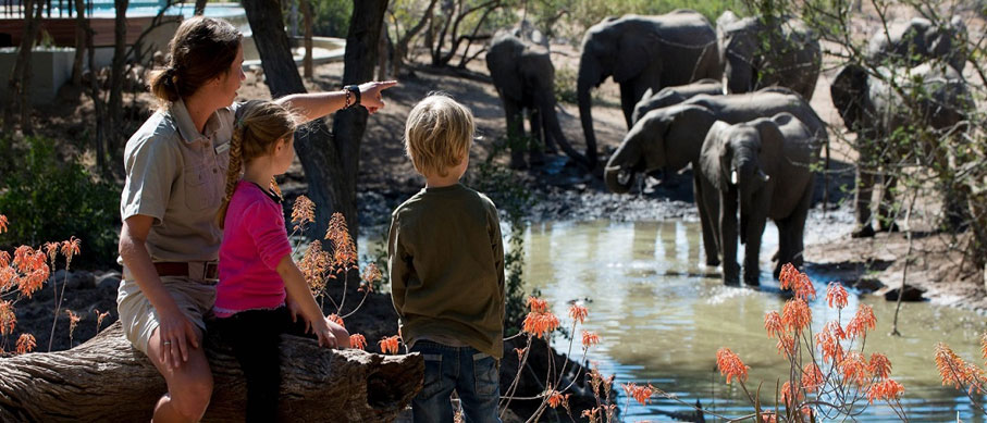mudumalai family tour