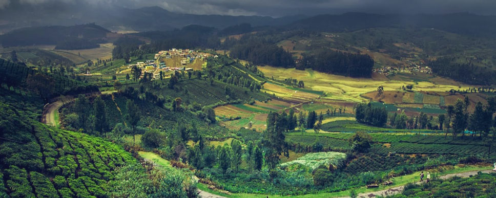 mudumalai ooty trip