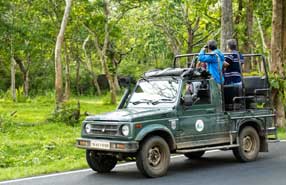 mudumalai permit tips