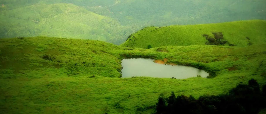 mudumalai wayanad tour